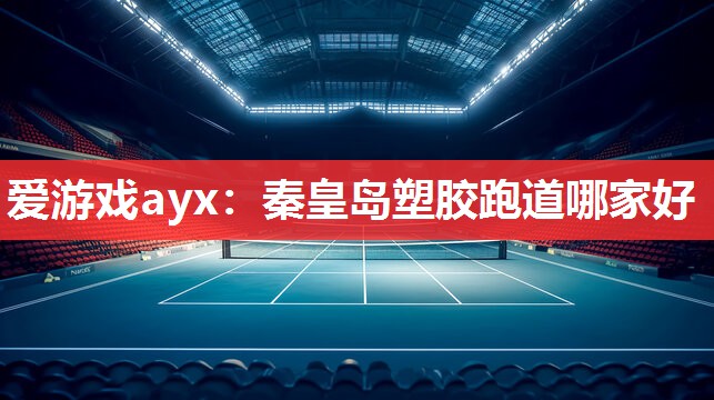 爱游戏ayx：秦皇岛塑胶跑道哪家好