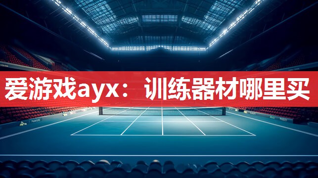 爱游戏ayx：训练器材哪里买